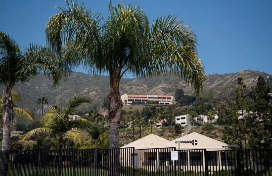a Palm tree on the Pepperdine Malibu campus with the School of Law visible in the background