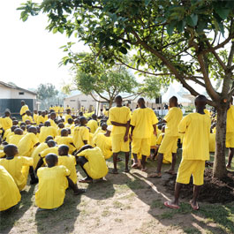 a group of inmates gather under a tree