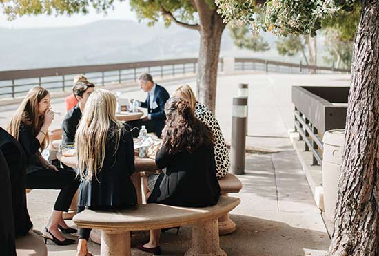 students sit and study around tables underneath trees on the school of law terrace