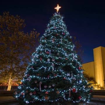 Pepperdine Christmas tree