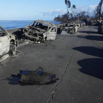 Burned cars on Maui