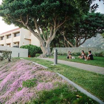 Photo of school of law lawn